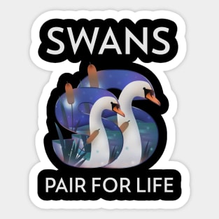 Swans Pair for Life Animal Facts Sticker